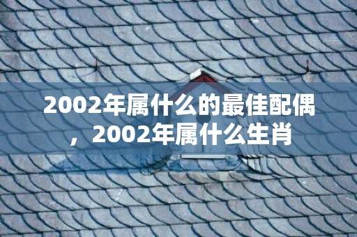 2002年属什么的最佳配偶，2002年属什么生肖