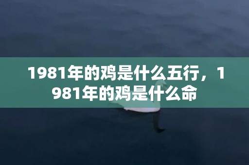 1981年的鸡是什么五行，1981年的鸡是什么命