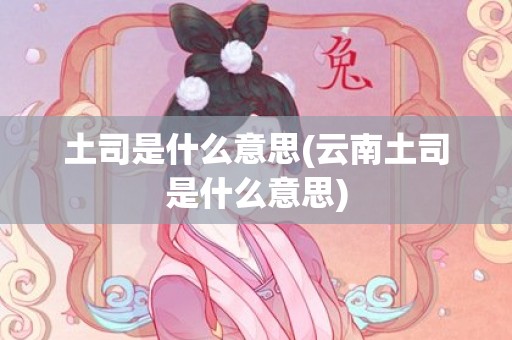 土司是什么意思(云南土司是什么意思)