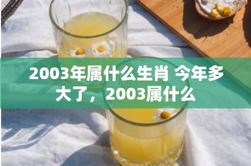 2003年属什么生肖 今年多大了，2003属什么