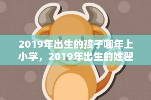 2019年出生的孩子哪年上小学，2019年出生的姓翟男孩如何起名，宜用什么字