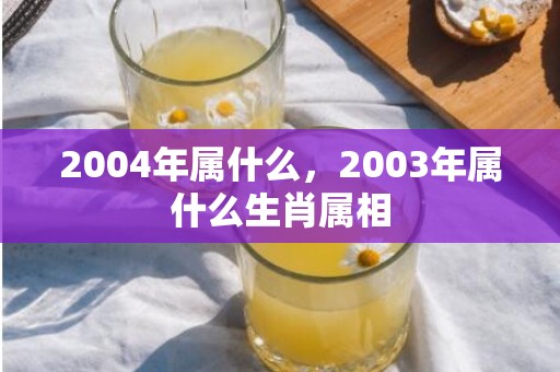 2004年属什么，2003年属什么生肖属相