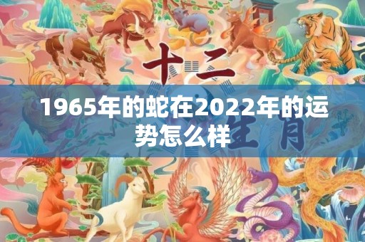 1965年的蛇在2022年的运势怎么样