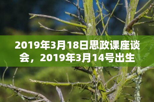 2019年3月18日思政课座谈会，2019年3月14号出生的男宝宝五行缺火要怎么起名字