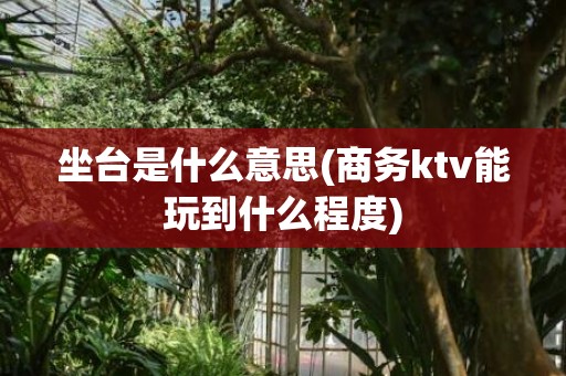 坐台是什么意思(商务ktv能玩到什么程度)