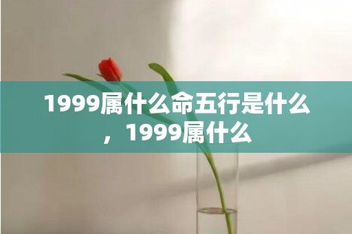 1999属什么命五行是什么，1999属什么