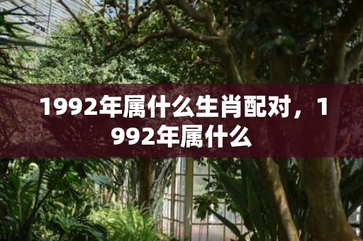 1992年属什么生肖配对，1992年属什么