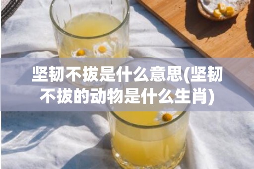 坚韧不拔是什么意思(坚韧不拔的动物是什么生肖)