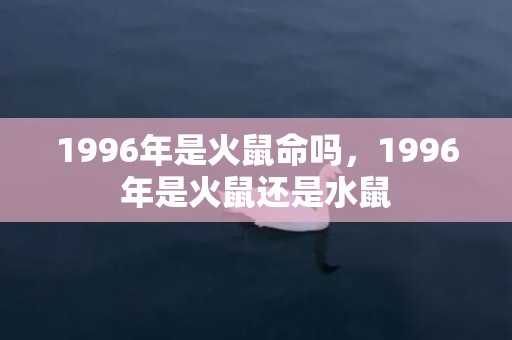 1996年是火鼠命吗，1996年是火鼠还是水鼠