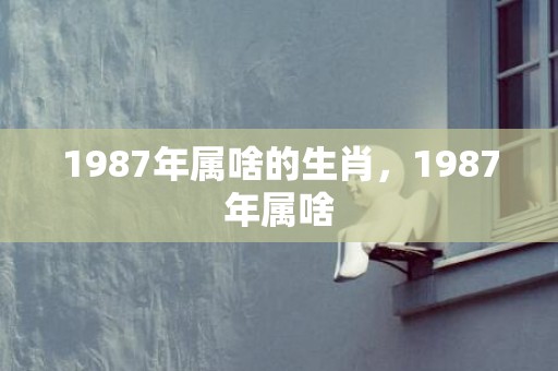 1987年属啥的生肖，1987年属啥