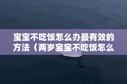 宝宝不吃饭怎么办最有效的方法（两岁宝宝不吃饭怎么办最有效的方法）