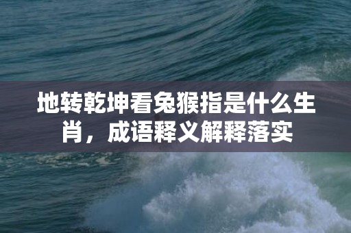 地转乾坤看兔猴指是什么生肖，成语释义解释落实