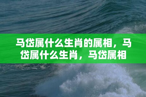 马岱属什么生肖的属相，马岱属什么生肖，马岱属相