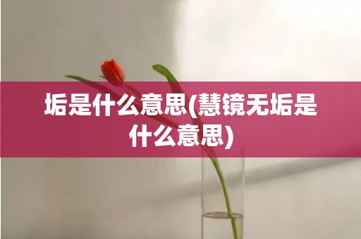 垢是什么意思(慧镜无垢是什么意思)