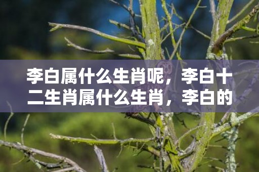 李白属什么生肖呢，李白十二生肖属什么生肖，李白的性格