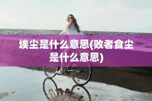 埃尘是什么意思(败者食尘是什么意思)