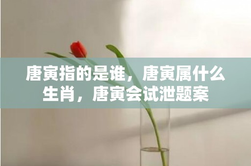 唐寅指的是谁，唐寅属什么生肖，唐寅会试泄题案