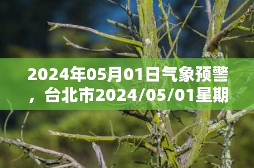 2024年05月01日气象预警，台北市2024/05/01星期三天气预报 大部中雨