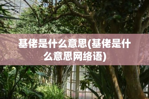 基佬是什么意思(基佬是什么意思网络语)