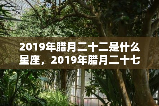 2019年腊月二十二是什么星座，2019年腊月二十七出生宝宝起什么名字？什么字起名有内涵？