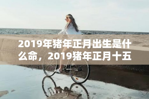 2019年猪年正月出生是什么命，2019猪年正月十五元宵节出生的宝宝起名字大全