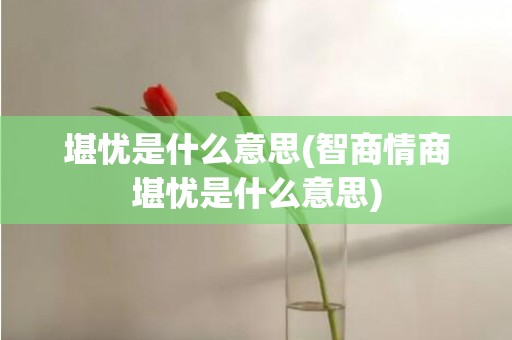 堪忧是什么意思(智商情商堪忧是什么意思)