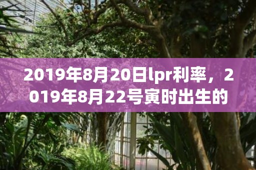 2019年8月20日lpr利率，2019年8月22号寅时出生的女孩怎么取名字比较好，五行属什么