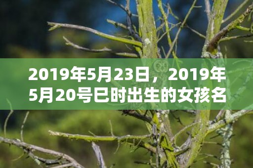 2019年5月23日，2019年5月20号巳时出生的女孩名字推荐