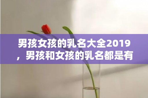 男孩女孩的乳名大全2019，男孩和女孩的乳名都是有什么