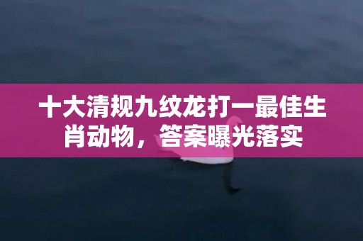 十大清规九纹龙打一最佳生肖动物，答案曝光落实