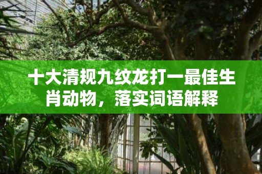 十大清规九纹龙打一最佳生肖动物，落实词语解释