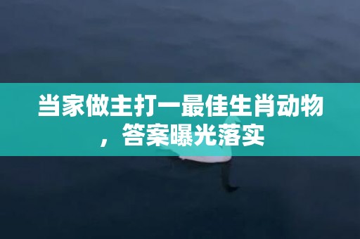 当家做主打一最佳生肖动物，答案曝光落实