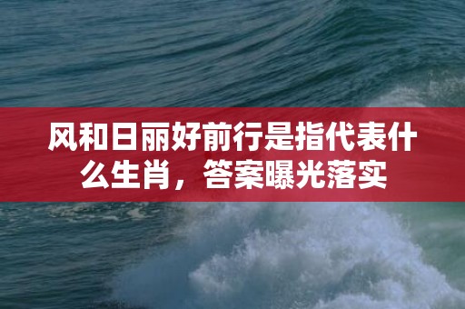 风和日丽好前行是指代表什么生肖，答案曝光落实