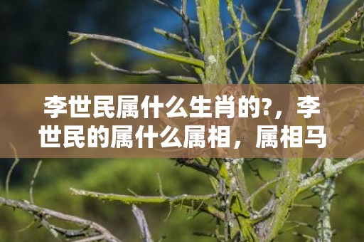 李世民属什么生肖的?，李世民的属什么属相，属相马的旺财头像