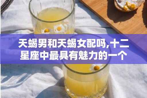 天蝎男和天蝎女配吗,十二星座中最具有魅力的一个