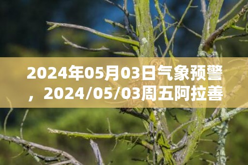 2024年05月03日气象预警，2024/05/03周五阿拉善盟天气预报 大部小雨转晴