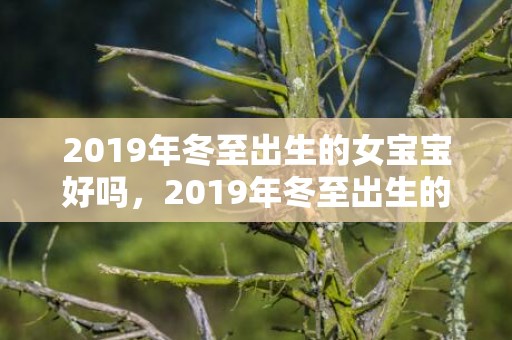 2019年冬至出生的女宝宝好吗，2019年冬至出生的女孩起什么名字合适，宜用什么字