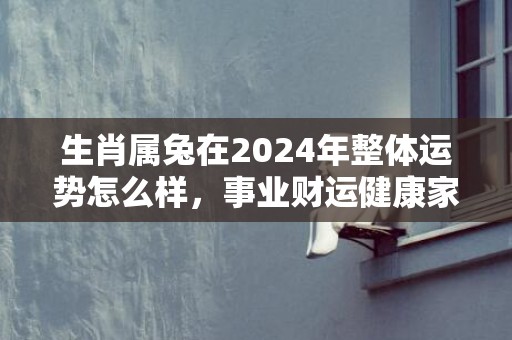 生肖属兔在2024年整体运势怎么样，事业财运健康家庭全方面解析