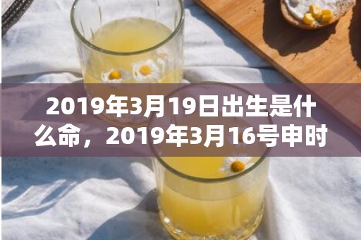 2019年3月19日出生是什么命，2019年3月16号申时出生的女孩应该起什么样的名字