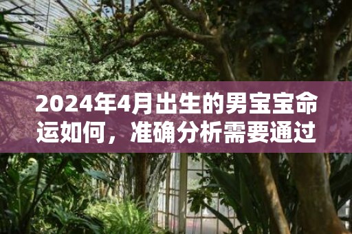 2024年4月出生的男宝宝命运如何，准确分析需要通过几个点