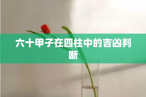 六十甲子在四柱中的吉凶判断