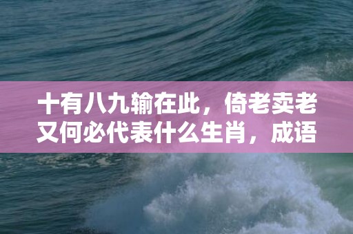 十有八九输在此，倚老卖老又何必代表什么生肖，成语解释落实