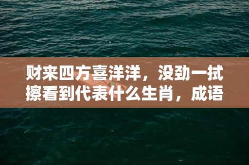 财来四方喜洋洋，没劲一拭擦看到代表什么生肖，成语解释落实