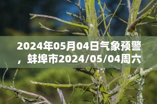 2024年05月04日气象预警，蚌埠市2024/05/04周六小雨最高温度19℃