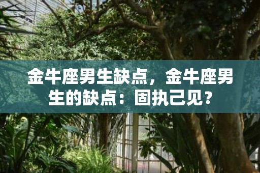 金牛座男生缺点，金牛座男生的缺点：固执己见？