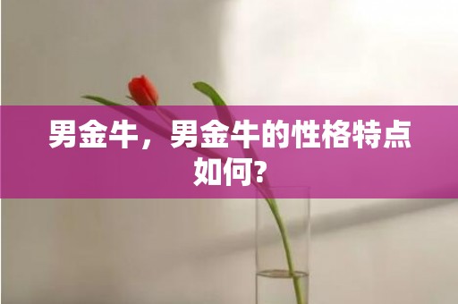 男金牛，男金牛的性格特点如何?