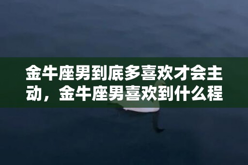 金牛座男到底多喜欢才会主动，金牛座男喜欢到什么程度才会主动追求？