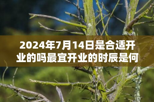 2024年7月14日是合适开业的吗最宜开业的时辰是何时