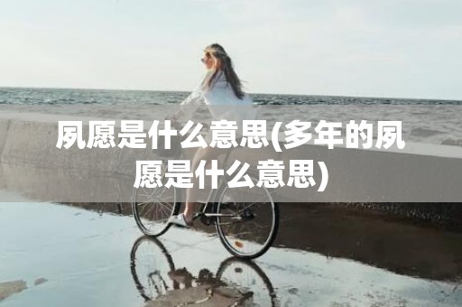 夙愿是什么意思(多年的夙愿是什么意思)