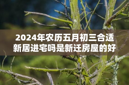 2024年农历五月初三合适新居进宅吗是新迁房屋的好日子吗